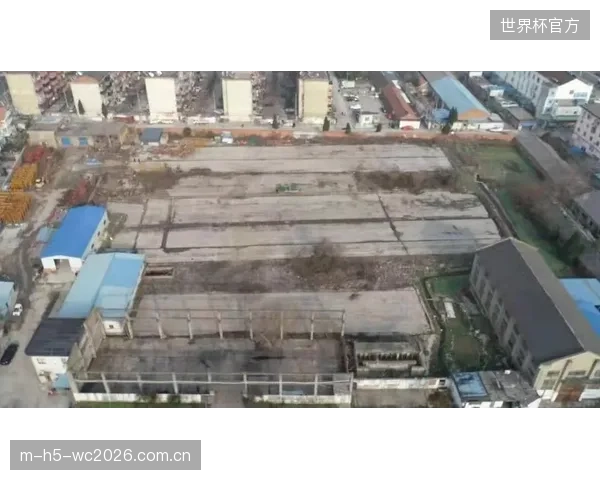 《体育法》2026修订案，标志着体育经纪人“野蛮生长”时代的终结